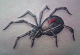 Tattoo Galerie - Motive - -