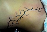 Tattoo Galerie - Motive - Tribal -