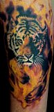 Tattoo Galerie - Motive - Diverses - 