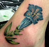 Tattoo Galerie - Motive - Diverses - 