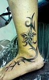 Tattoo Galerie - Motive - Tribal - 