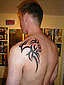 Tattoo Galerie - Motive - Tribal - 