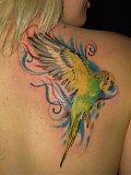 Tattoo Galerie - Motive -  - 