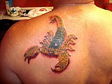 Tattoo Galerie - Motive - Tierwelt - 