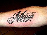Tattoo Galerie - Motive -  - 