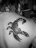 Tattoo Galerie - Motive -  - 