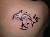 Tattoo Galerie - Motive - Tribal - 