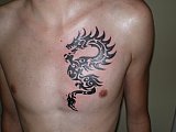 Tattoo Galerie - Motive - Tribal - 