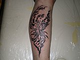 Tattoo Galerie - Motive - Tribal - 