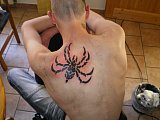 Tattoo Galerie - Motive - Tribal - 