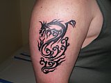 Tattoo Galerie - Motive - Tribal - 