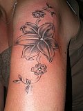 Tattoo Galerie - Motive - Pflanzenwelt -