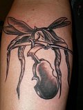 Tattoo Galerie - Motive - Dämonisches -