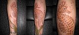 Tattoo Galerie - Motive - Tierwelt - 