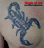 Tattoo Galerie - Motive - Diverses - 