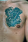 Tattoo Galerie - Motive - Diverses -