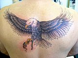 Tattoo Galerie - Motive - Tierwelt - 