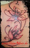 Tattoo Galerie - Motive - Pflanzen - 