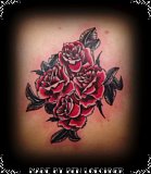 Tattoo Galerie - Motive - Pflanzenwelt - 
