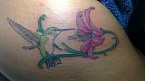 Tattoo Galerie - Motive - Pflanzenwelt - 