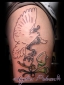 Tattoo Galerie - Motive - Taube - 