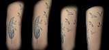 Tattoo Galerie - Motive - -