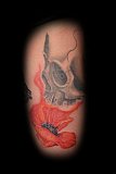 Tattoo Galerie - Motive - -