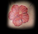 Tattoo Galerie - Motive - -