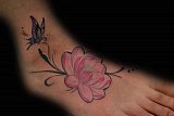 Tattoo Galerie - Motive - -