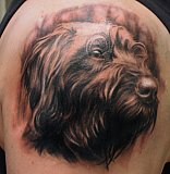 Tattoo Galerie - Motive -  - 