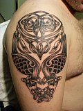 Tattoo Galerie - Motive - Vögel Celtic - 