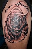 Tattoo Galerie - Motive - Bear - 