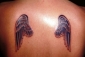 Tattoo Galerie - Motive - Diverses -