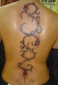 Tattoo Galerie - Motive - Diverses - 