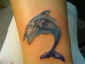 Tattoo Galerie - Motive - Delphin - 