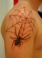 Tattoo Galerie - Motive - Spinnennetz - 