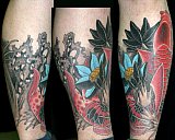 Tattoo Galerie - Motive - Koi - 