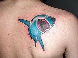 Tattoo Galerie - Motive - Hai -