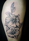 Tattoo Galerie - Motive -  - 