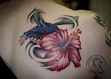 Tattoo Galerie - Motive -  - 