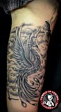 Tattoo Galerie - Motive -  - 