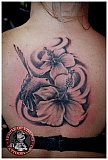 Tattoo Galerie - Motive -  - 