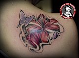 Tattoo Galerie - Motive -  - 