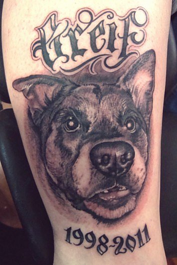Tattoo Galerie - Motive - Hundekopf - Tattoo & Piercing 4 You