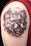 Tattoo Galerie - Motive - Puma - 