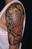 Tattoo Galerie - Motive - Koi - 