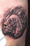 Tattoo Galerie - Motive - Lion - 