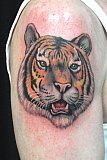 Tattoo Galerie - Motive - Lion - 