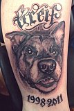 Tattoo Galerie - Motive - Hundekopf - 