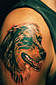 Tattoo Galerie - Motive - Tierwelt -